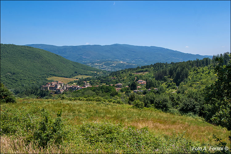 Valle del Soliggine, Castel Focognano