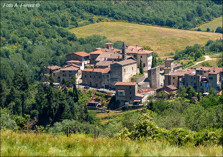 Castel Focognano, panorama