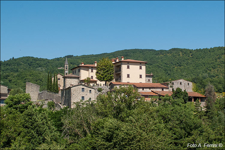 Castel Focognano, panorama