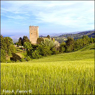 Porciano Castle: summer