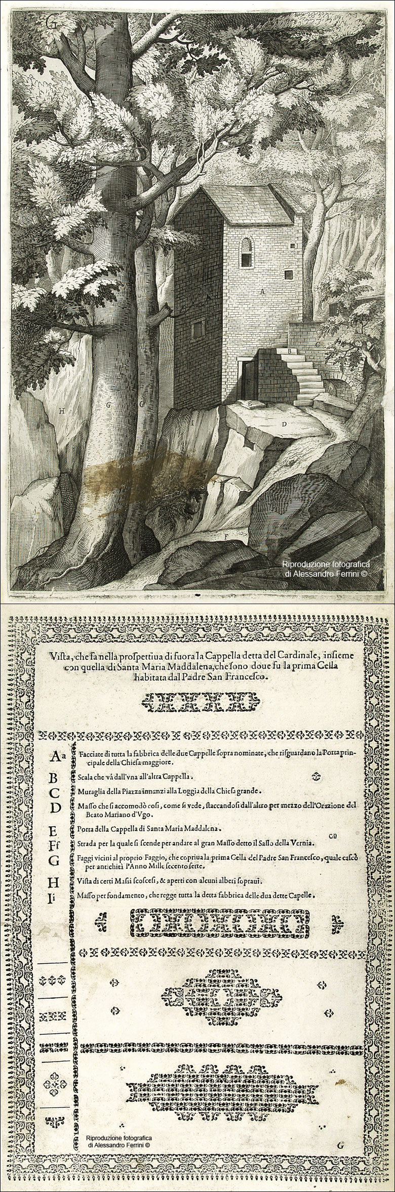 Guida Verna