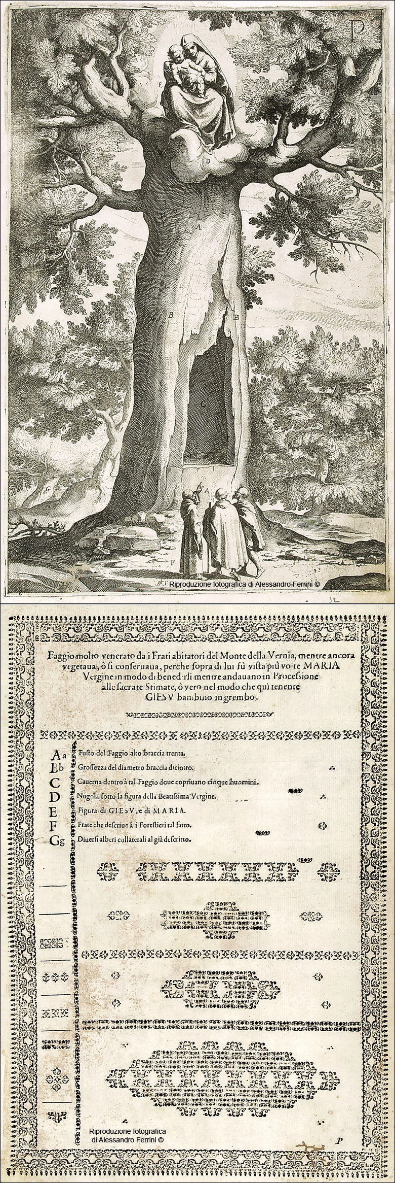 Guida Verna
