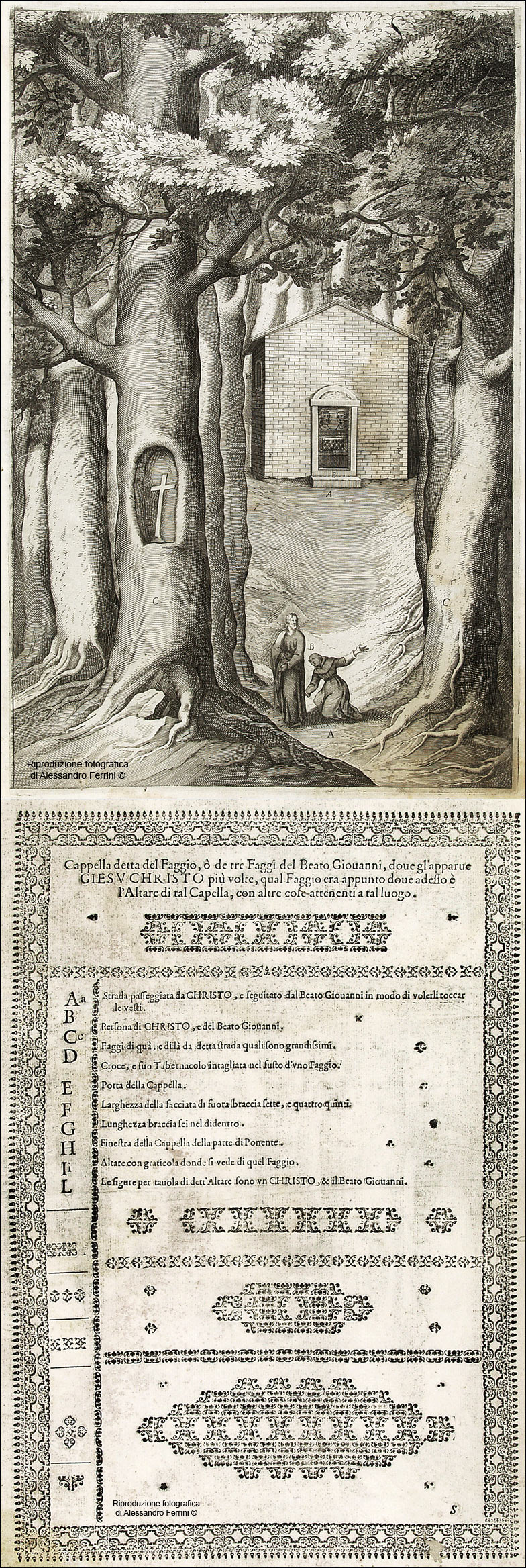 Guida Verna