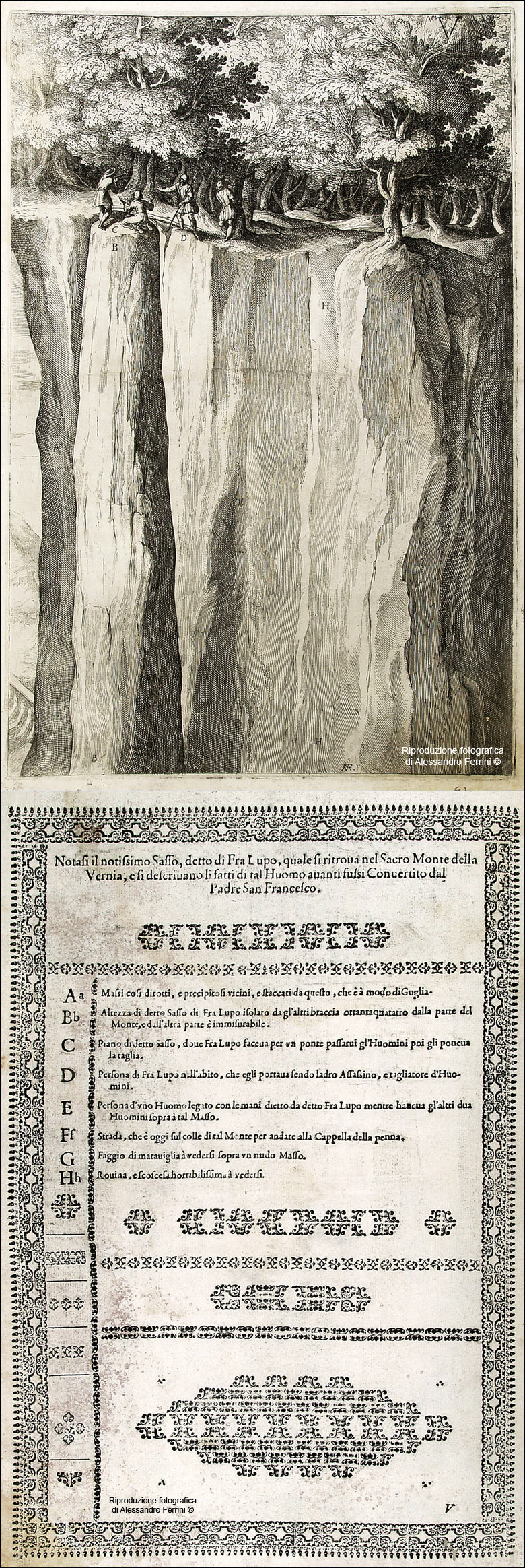 Guida Verna