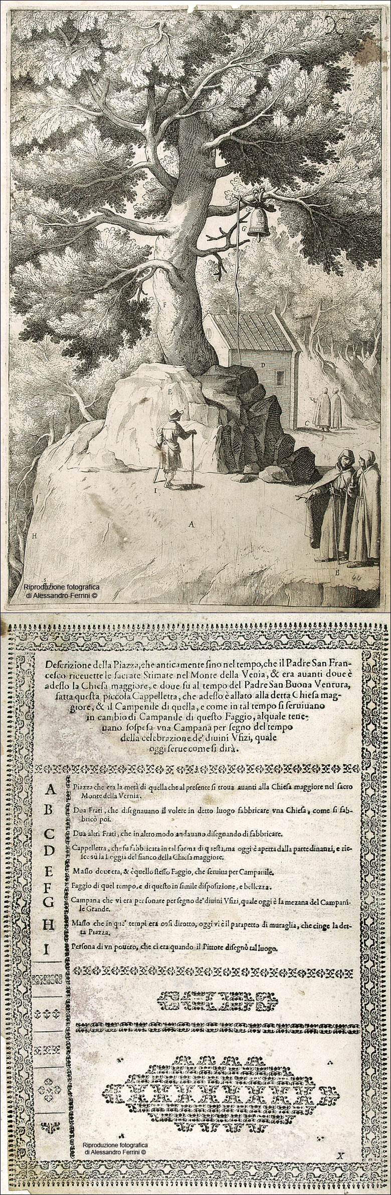 Guida Verna