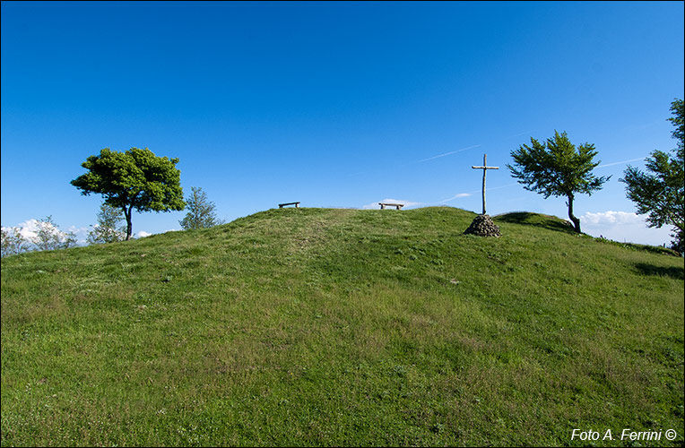 Anciolina