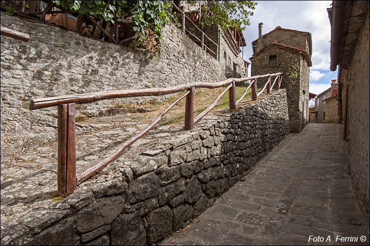 Anciolina