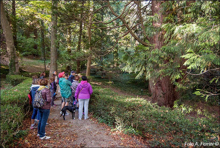 Arboreto di Vallombrosa