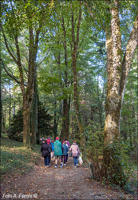 Arboreto di Vallombrosa