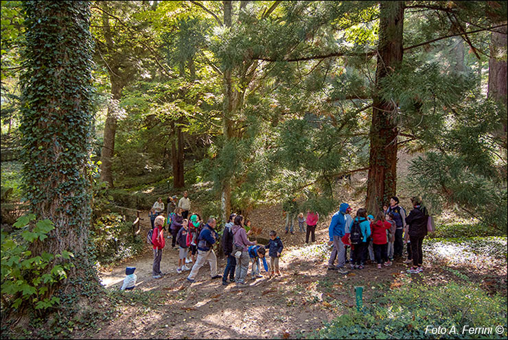 Arboreto di Vallombrosa