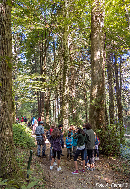 Arboreto di Vallombrosa