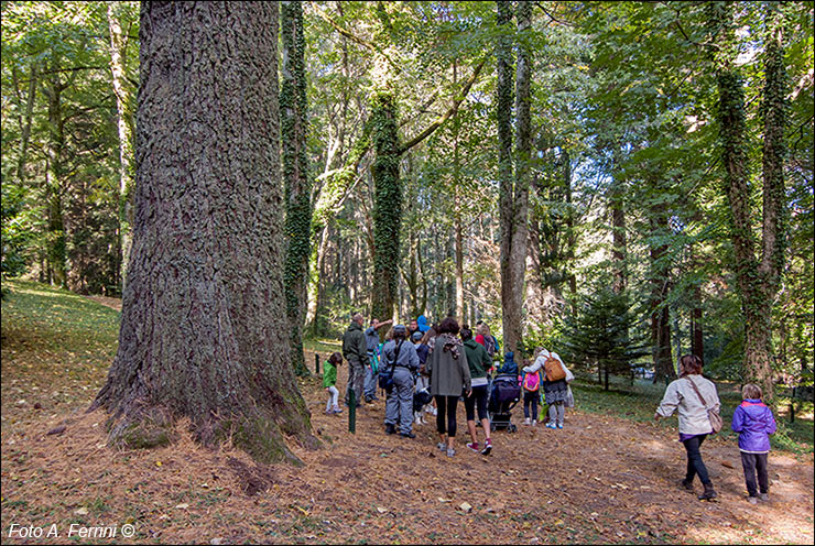 Arboreto di Vallombrosa