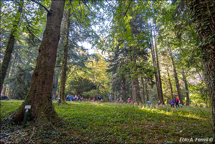 Arboreto di Vallombrosa