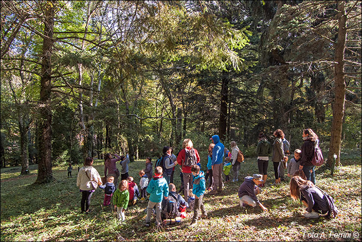 Arboreto di Vallombrosa