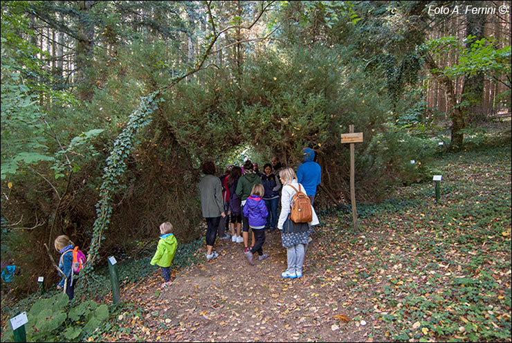 Arboreto di Vallombrosa