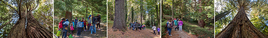 Arboreto di Vallombrosa