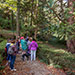 Arboreto di Vallombrosa