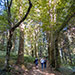 Arboreto di Vallombrosa