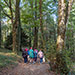 Arboreto di Vallombrosa