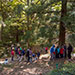 Arboreto di Vallombrosa