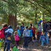 Arboreto di Vallombrosa