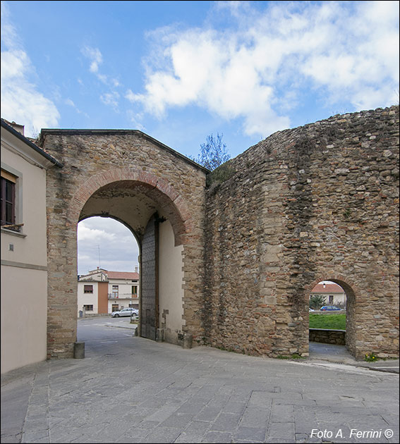 Foto Arezzo Ferrini