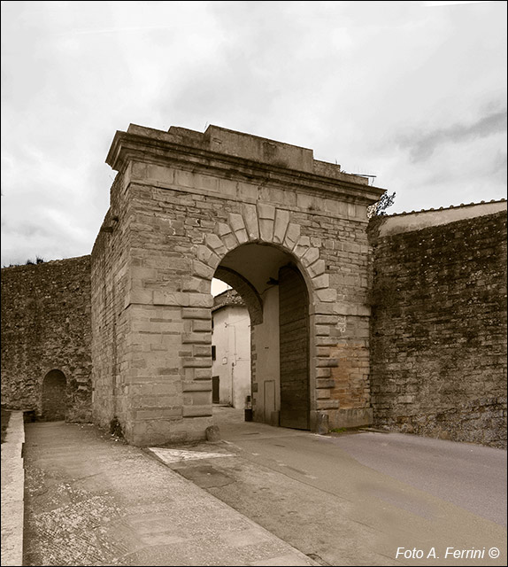 Foto Arezzo Ferrini