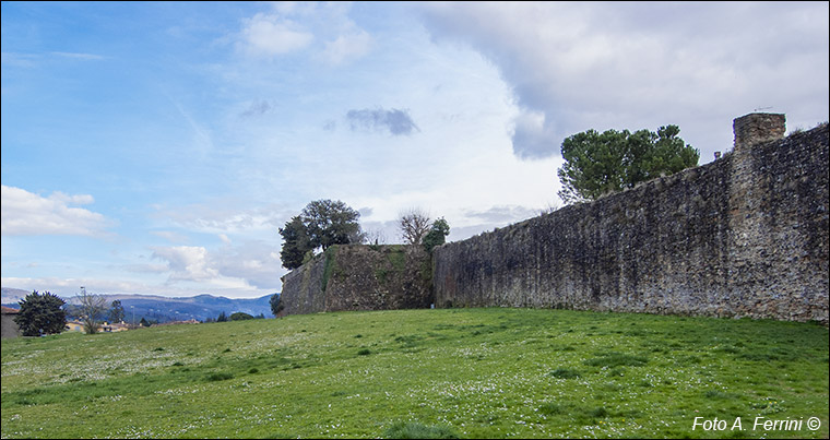 Foto Arezzo Ferrini