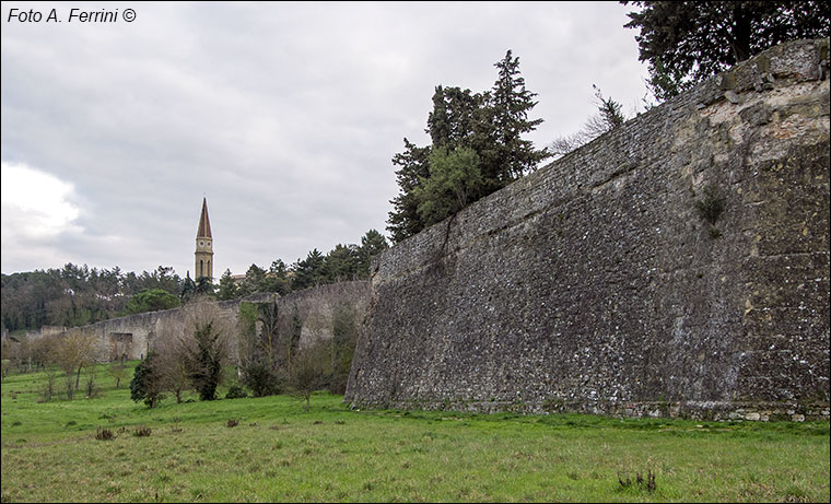 Foto Arezzo Ferrini