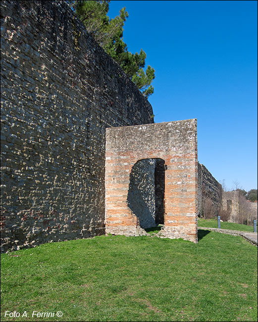 Foto Arezzo Ferrini