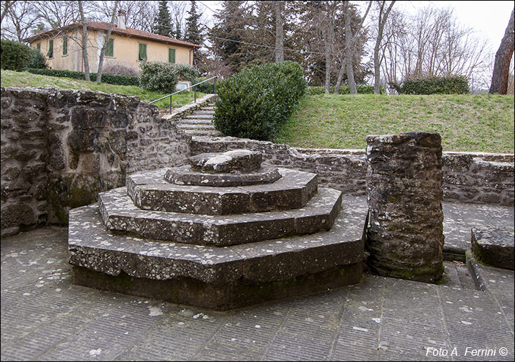 Foto Arezzo Ferrini