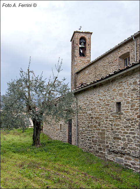 Foto Arezzo Ferrini