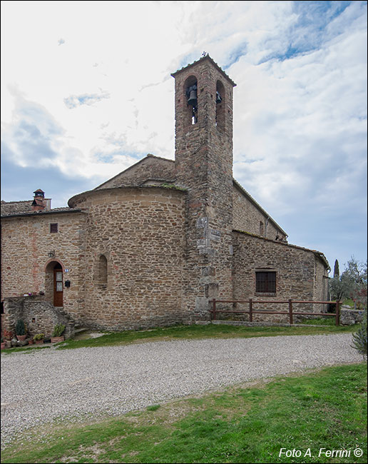 Foto Arezzo Ferrini