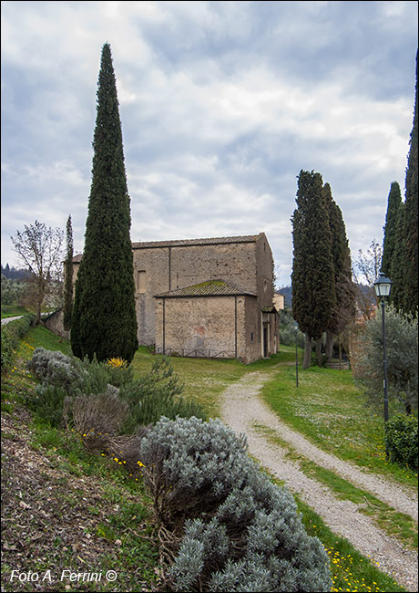 Foto Arezzo Ferrini