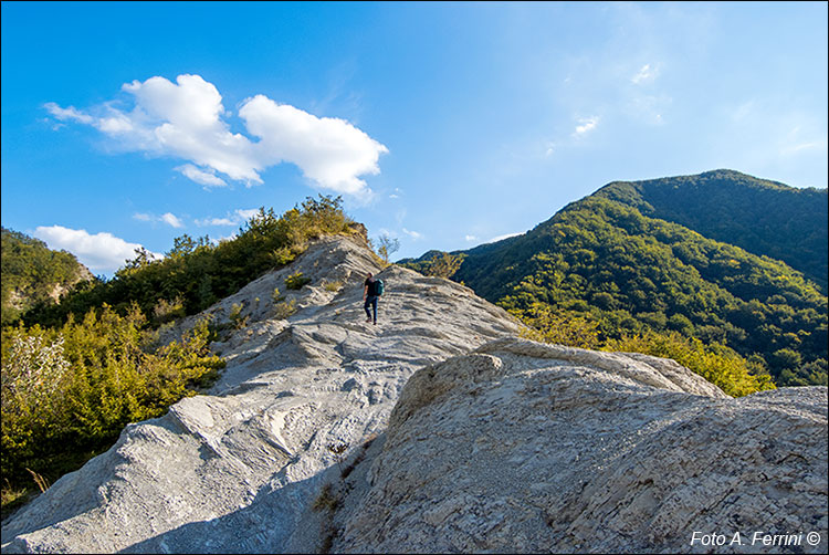 Via Romea sull'appennino