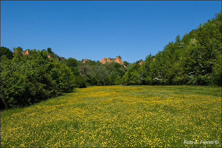 Balze del Valdarno