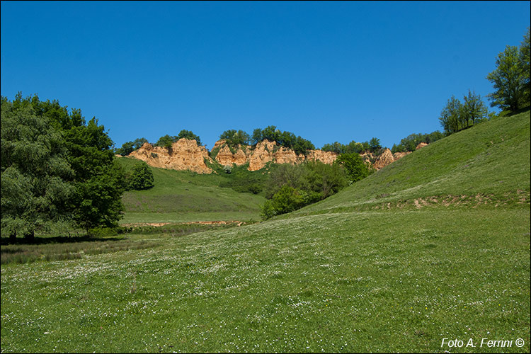 Balze del Valdarno