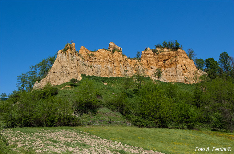 Balze del Valdarno