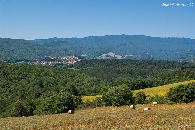 Bibbiena e la valle casentinese