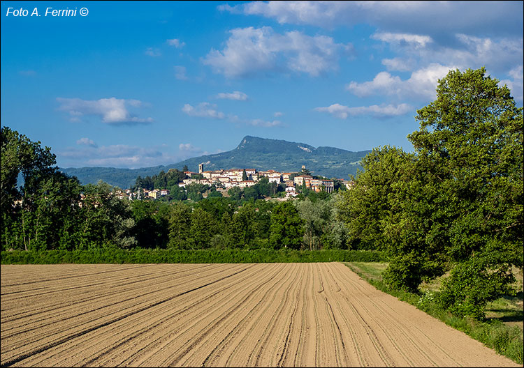 Bibbiena e La Verna