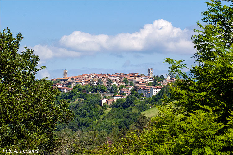 Panorama di Bibbiena