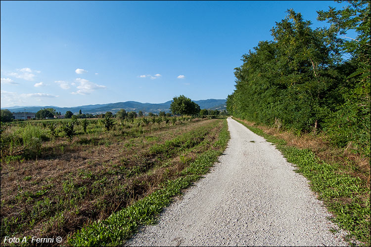 Bibbiena, ciclopista lungo l'Archiano