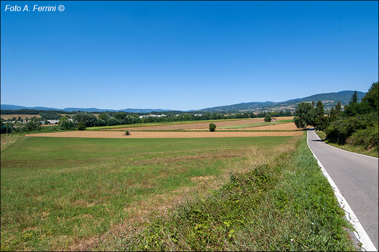 Bibbiena, il suo territorio agricolo