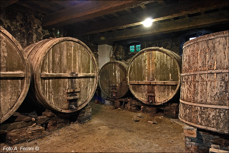 Antiche cantine della Mausolea