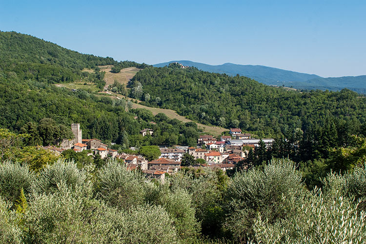 Partina, panorama