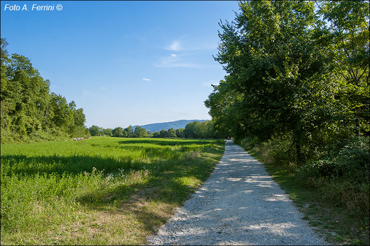 Partina, pista ciclopedonale