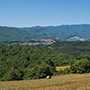 Bibbiena e la valle casentinese