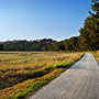 Ciclopista del Casentino