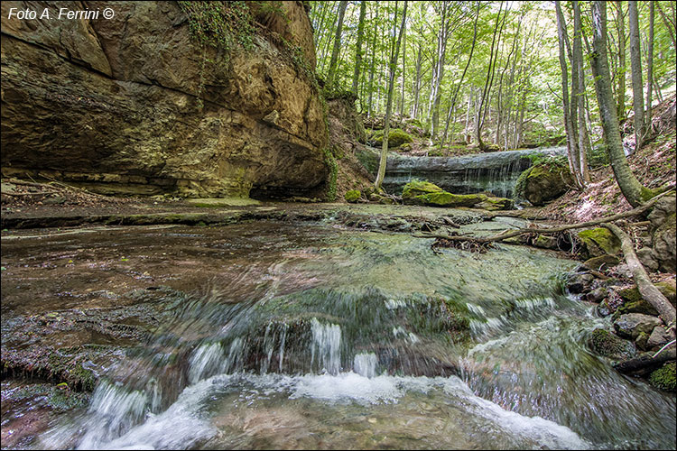 Fosso di Fiume d’Isola