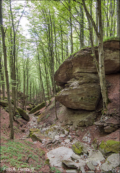 Rocce nel Fosso del Pontone